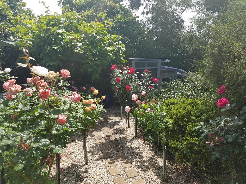 Olde Mill House B&B & Bike2Wine Cycle Hire Renwick Экстерьер фото