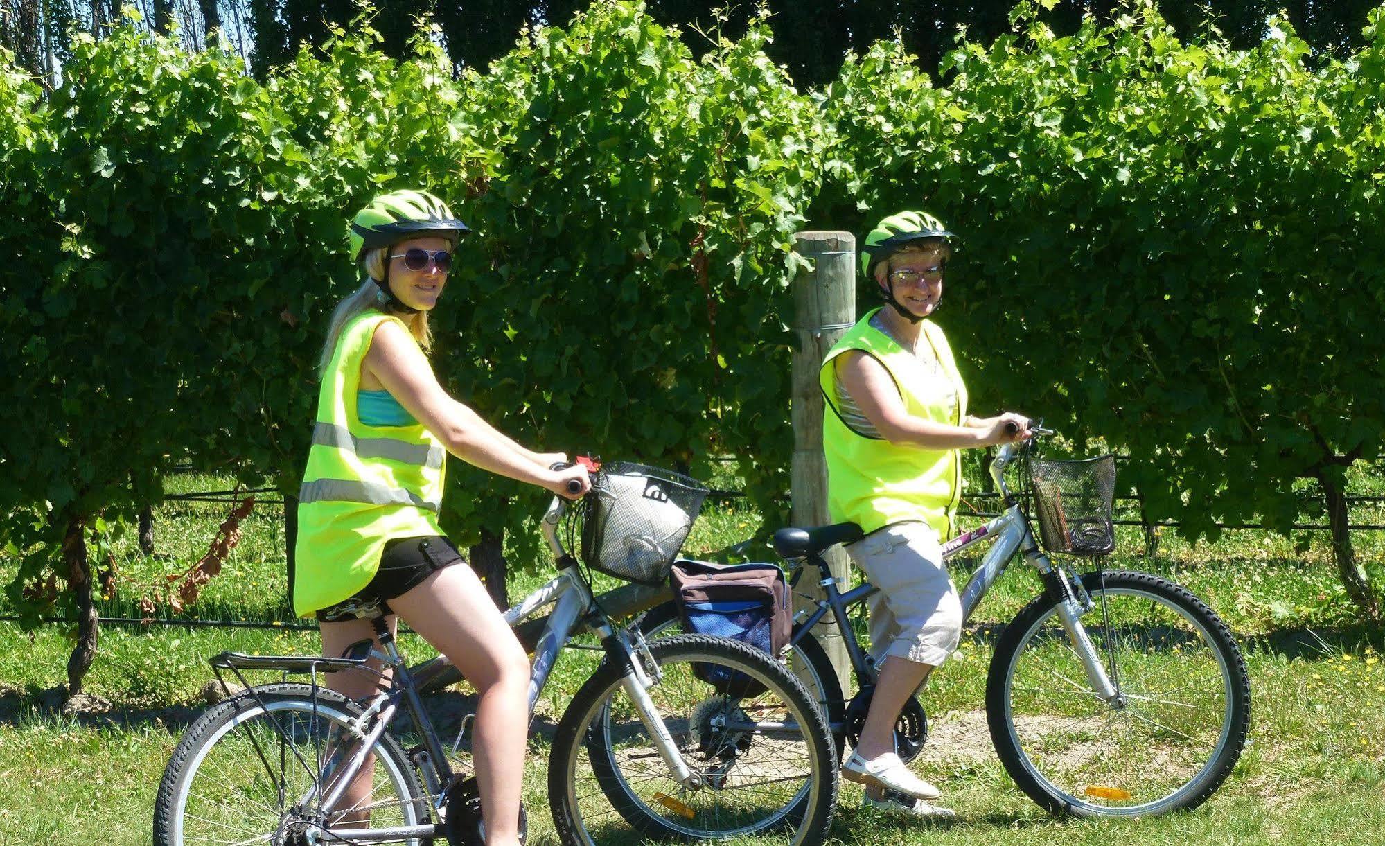 Olde Mill House B&B & Bike2Wine Cycle Hire Renwick Экстерьер фото